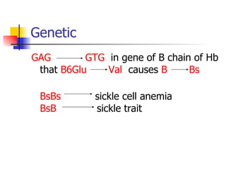 Genetic GAG   GTG  in gene of B chain of Hb that  B6Glu   Val   causes  B   Bs  BsBs   sickle cell anemia  BsB   sickle trait  