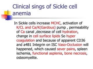 Clinical sings of Sickle cell anemia In Sickle cells increase  MCHC , activation of  K/CL and Ca/K(Gardous)  pump , permeability of  Ca  canal ,decrease of cell  hydration , change in  cell   surface lipids  So  hyper coagulation  and because of apparent CD36 and a4B1 Integrin on ISC  Vaso-Occlusion  will happened, which caused  sever pains , spleen ischemia,  functional asplenia ,  bone   necrosis , osteomyelite.  