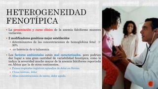  La presentación y curso clínico de la anemia falciforme muestra
variación.
 2 modificadores genéticos mejor establecidos
 determinantes de las concentraciones de hemoglobina fetal 1-
30%
 co-herencia de α-talasemia
 Los factores ambientales están mal caracterizados, pero podrían
dar lugar a una gran cantidad de variabilidad fenotípica, como lo
indica la severidad mucho mayor de la anemia falciforme reportada
en África que la de otros continentes.
 Paises tropicales registran episodios de dolor en lluvias.
 Clima ventoso, dolor
 Altas concentraciones de ozono, dolor agudo.
 