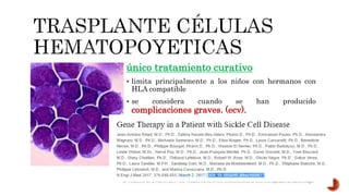 único tratamiento curativo
 limita principalmente a los niños con hermanos con
HLA compatible
 se considera cuando se han producido
complicaciones graves. (ecv).
 La terapia génica sigue ofreciendo promesas.
 La transferencia de genes mediada por lentivirus puede
corregir los defectos hematológicos y el daño de órganos
en ratones con enfermedad de células falciformes
 un ensayo clínico ha comenzado en Francia.
 