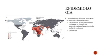  La distribución mundial de la HbS
es indicativa de dos factores:
 la selección de los portadores a
través de su ventaja de
supervivencia en las regiones de
malaria endémica
 migración
 