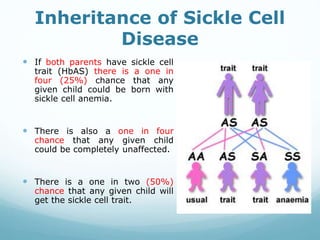 Inheritance of Sickle Cell
Disease
 If both parents have sickle cell
trait (HbAS) there is a one in
four (25%) chance that any
given child could be born with
sickle cell anemia.
 There is also a one in four
chance that any given child
could be completely unaffected.
 There is a one in two (50%)
chance that any given child will
get the sickle cell trait.
 