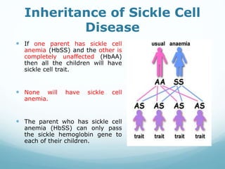 Inheritance of Sickle Cell
Disease
 If one parent has sickle cell
anemia (HbSS) and the other is
completely unaffected (HbAA)
then all the children will have
sickle cell trait.
 None will have sickle cell
anemia.
 The parent who has sickle cell
anemia (HbSS) can only pass
the sickle hemoglobin gene to
each of their children.
 