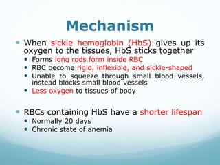 Mechanism
 When sickle hemoglobin (HbS) gives up its
oxygen to the tissues, HbS sticks together
 Forms long rods form inside RBC
 RBC become rigid, inflexible, and sickle-shaped
 Unable to squeeze through small blood vessels,
instead blocks small blood vessels
 Less oxygen to tissues of body
 RBCs containing HbS have a shorter lifespan
 Normally 20 days
 Chronic state of anemia
 