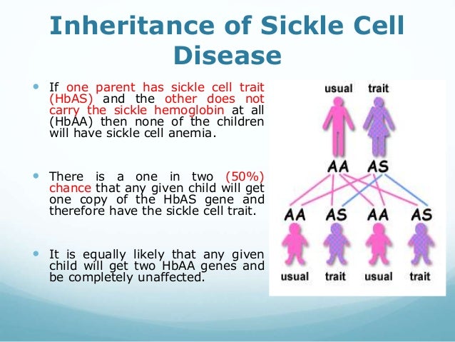 Sickle Cell Inheritance Chart