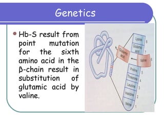 Genetics
Hb-S result from
point mutation
for the sixth
amino acid in the
β-chain result in
substitution of
glutamic acid by
valine.
 