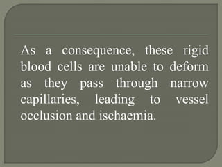 As a consequence, these rigid
blood cells are unable to deform
as they pass through narrow
capillaries, leading to vessel
occlusion and ischaemia.
 