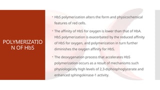 POLYMERIZATIO
N OF HbS
 HbS polymerization alters the form and physicochemical
features of red cells.
 The affinity of HbS for oxygen is lower than that of HbA.
HbS polymerization is exacerbated by the reduced affinity
of HbS for oxygen, and polymerization in turn further
diminishes the oxygen affinity for HbS.
 The deoxygenation process that accelerates HbS
polymerization occurs as a result of mechanisms such
physiologically high levels of 2,3-diphosphoglycerate and
enhanced sphingokinase-1 activity.
 