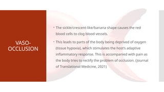 VASO-
OCCLUSION
 The sickle/crescent-like/banana shape causes the red
blood cells to clog blood vessels.
 This leads to parts of the body being deprived of oxygen
(tissue hypoxia), which stimulates the host’s adaptive
inflammatory response. This is accompanied with pain as
the body tries to rectify the problem of occlusion. (Journal
of Translational Medicine, 2021)
 