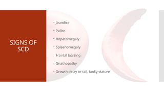 SIGNS OF
SCD
 Jaundice
 Pallor
 Hepatomegaly
 Spleenomegaly
 Frontal bossing
 Gnathopathy
 Growth delay or tall, lanky stature
 
