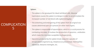 COMPLICATION
S
Spleen:
 The spleen is the graveyard for dead red blood cells. Massive
haemolysis causes the spleen to enlarge in order to accommodate the
increased number of red blood cells (spleenomegaly).
 The stretching and enlargening of the spleen from its original size
causes abdominal pain as it presses on other vital organs.
 The spleen is responsible of opsonization, which is a crucial process for
combating microbes. It involves the production of opsonins; antibodies
which make the microbes suceptible to phagocytosis.
 Opsonins produced by the spleen break away the capsules of
encapsulated organisms.eg. Streptococcus pneumoniae, Haemophilus
influenzae, Neisseria meningitis, etc.
 