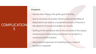 COMPLICATION
S
Priapism:
 Named after Priapus; the greek god of fertility.
 Due to occlusion of vessels, there is reduced backflow of
blood which can lead to a sustained erection (<4 hours) in
the absence of sexual stimulation or trauma.
 Sickling of the red blood cells in the sinusoids of the corpus
carvenosum is the primary mechanism for priapism; a
sustained painful erection.
 Detumescence (process of subsiding from a state of
tension) is impaired.
 