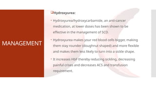 MANAGEMENT
Hydroxyurea:
 Hydroxyurea/hydroxycarbamide, an anti-cancer
medication, at lower doses has been shown to be
effective in the management of SCD.
 Hydroxyurea makes your red blood cells bigger, making
them stay rounder (doughnut shaped) and more flexible
and makes them less likely to turn into a sickle shape.
 It increases HbF thereby reducing sickling, decreasing
painful crises and decreases ACS and transfusion
requirement.
 