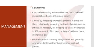MANAGEMENT
L-glutamine:
• A naturally occurring amino acid whose use in sickle cell
disease is based on its antioxidant activity.
• It works by increasing NAD redox potential in sickle red
blood cells thereby increasing the levels of glutathione, an
antioxidant necessary for mopping up excess free radicals
in SCD as a result of increased activity of oxidases, heme
iron release, etc.
• This medication is currently being studied and gradually
incorporated into treatment regimens for sickle cell
patients.
 