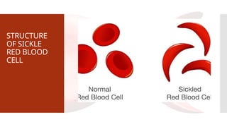 STRUCTURE
OF SICKLE
RED BLOOD
CELL
 