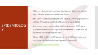 EPIDEMIOLOG
Y
 SCD is predominant throughout Sub-Saharan Africa, the Middle
East, parts of India and the Meditteranean.
 The carrier state is widespread with a particularly high prevalence
in West Africa of up to 30% (Hoffbrand and Moss, 2016)
 In a recent study conducted by WHO in November 2020, data
garnered showed that as high as 40% of people in some African
countries have the sickle cell trait.
 About 1,000 children in Africa are born with SCD every day, and
more than half will die before they reach 5 years old.
( https://sickle-cell.com/statistics )
 