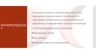 PATHOPHYSIOLOG
Y
 The genetic mutation on the beta-globin chain of the
haemoglobin molecule results in the formation of
haemoglobin S (HbS), which has the unique feature of
polymerizing on deoxygenation, forming a semisolid gel.
 Three key pathophysiological mechanisms:
Polymerization of HbS
Vaso-occlusion
Endothelial dysfunction by haemolysis
 