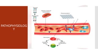 PATHOPHYSIOLOG
Y
 