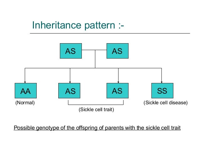 can aa and aa genotype produce as