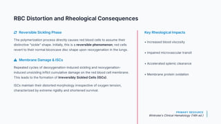 Sickle Cell Anaemia: Molecular Insights, Pathogenesis, and Clinical ...