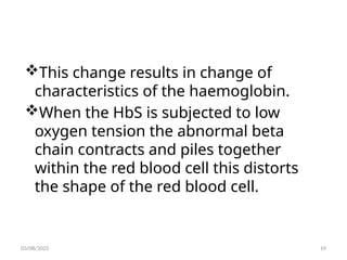 This change results in change of
characteristics of the haemoglobin.
When the HbS is subjected to low
oxygen tension the abnormal beta
chain contracts and piles together
within the red blood cell this distorts
the shape of the red blood cell.
03/08/2025 19
 