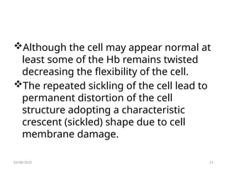 Although the cell may appear normal at
least some of the Hb remains twisted
decreasing the flexibility of the cell.
The repeated sickling of the cell lead to
permanent distortion of the cell
structure adopting a characteristic
crescent (sickled) shape due to cell
membrane damage.
03/08/2025 21
 