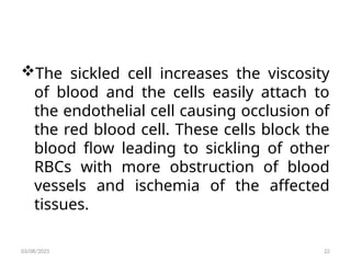 The sickled cell increases the viscosity
of blood and the cells easily attach to
the endothelial cell causing occlusion of
the red blood cell. These cells block the
blood flow leading to sickling of other
RBCs with more obstruction of blood
vessels and ischemia of the affected
tissues.
03/08/2025 22
 