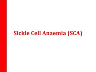 Sickle Cell Anaemia (SCA)
 