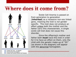 Where does it come from?Sickle Cell Anemia is passed on from generation to generation (inherited) as a recessive non-sex linked gene, meaning the trait is not gender specific.  This trait does not produce an effect unlessboth the mother and the father carry this characteristic. A single sickle cell trait does not cause this disorder.Since the offspring’s mother and father both must have this trait in order for it to have an effect on them, only the child with the genetic make-up of “SS” (as shown in the diagram) will appear with the abnormal hemoglobin.