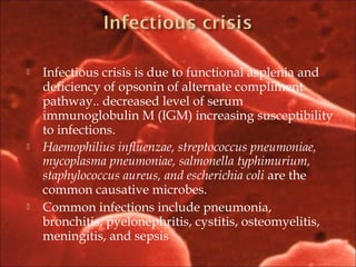  Infectious crisis is due to functional asplenia and
deficiency of opsonin of alternate compliment
pathway.. decreased level of serum
immunoglobulin M (IGM) increasing susceptibility
to infections.
 Haemophilius influenzae, streptococcus pneumoniae,
mycoplasma pneumoniae, salmonella typhimurium,
staphylococcus aureus, and escherichia coli are the
common causative microbes.
 Common infections include pneumonia,
bronchitis, pyelonephritis, cystitis, osteomyelitis,
meningitis, and sepsis
 