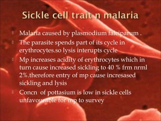  Malaria caused by plasmodium falciparum .
 The parasite spends part of its cycle in
erythrocytes.so lysis interupts cycle
 Mp increases acidity of erythrocytes which in
turn cause increased sickling to 40 % frm nrml
2%.therefore entry of mp cause incresased
sickling and lysis
 Concn of pottasium is low in sickle cells
unfavourable for mp to survey
 
