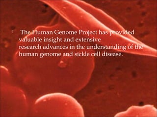   The Human Genome Project has provided
valuable insight and extensive
research advances in the understanding of the
human genome and sickle cell disease. 
 