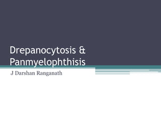 Drepanocytosis &
Panmyelophthisis
J Darshan Ranganath
 