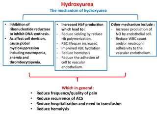 Hydroxyurea
The mechanism of hydroxyurea
• Inhibition of
ribonucleotide reductase
to inhibit DNA synthesis.
• As affect cell devision,
cause global
myelosuppression
including neutropenia,
anemia and
thrombocytopenia.
Other mechanism include :
- Increase production of
NO by endothelial cell.
- Reduce WBC count
and/or neutrophil
adhesivity to the
vascular endothelium.
• Increased HbF production
which lead to :
- Reduce sickling by reduce
Hb polymerization.
- RBC lifespan increased
- Improved RBC hydration
- Reduce hemolysis
- Reduce the adhesion of
cell to vascular
endothelium.
Which in general :
• Reduce frequency/quality of pain
• Reduce recurrence of ACS
• Reduce hospitalization and need to transfusion
• Reduce hemolysis
 