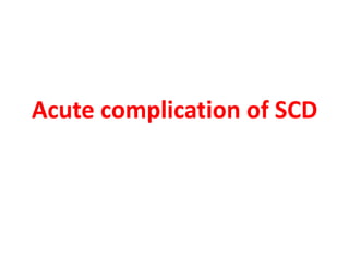 Acute complication of SCD
 