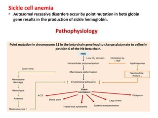 Sickle cell anemia
• Autosomal recessive disorders occur by point mutation in beta globin
gene results in the production of sickle hemoglobin.
Pathophysiology
Point mutation in chromosome 11 in the beta-chain gene lead to change glutamate to valine in
position 6 of the Hb beta chain.
 
