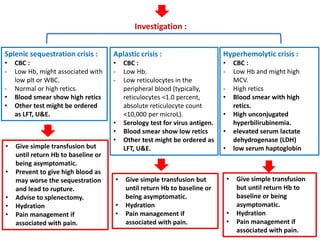 Investigation :
Splenic sequestration crisis :
• CBC :
- Low Hb, might associated with
low plt or WBC.
- Normal or high retics.
• Blood smear show high retics
• Other test might be ordered
as LFT, U&E.
Hyperhemolytic crisis :
• CBC :
- Low Hb and might high
MCV.
- High retics
• Blood smear with high
retics.
• High unconjugated
hyperbilirubinemia.
• elevated serum lactate
dehydrogenase (LDH)
• low serum haptoglobin
Aplastic crisis :
• CBC :
- Low Hb.
- Low reticulocytes in the
peripheral blood (typically,
reticulocytes <1.0 percent,
absolute reticulocyte count
<10,000 per microL).
• Serology test for virus antigen.
• Blood smear show low retics
• Other test might be ordered as
LFT, U&E.• Give simple transfusion but
until return Hb to baseline or
being asymptomatic.
• Prevent to give high blood as
may worse the sequestration
and lead to rupture.
• Advise to splenectomy.
• Hydration
• Pain management if
associated with pain.
• Give simple transfusion but
until return Hb to baseline or
being asymptomatic.
• Hydration
• Pain management if
associated with pain.
• Give simple transfusion
but until return Hb to
baseline or being
asymptomatic.
• Hydration
• Pain management if
associated with pain.
 