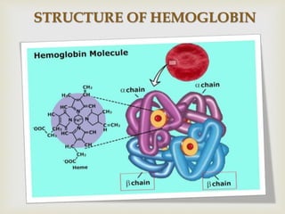 STRUCTURE OF HEMOGLOBIN