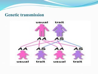 Genetic transmission
 