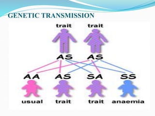 GENETIC TRANSMISSION
 