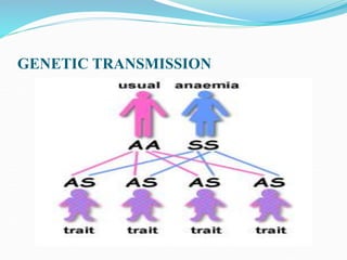 GENETIC TRANSMISSION
 