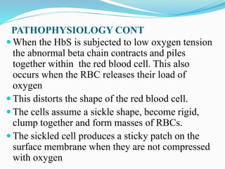 PATHOPHYSIOLOGY CONT
 When the HbS is subjected to low oxygen tension
the abnormal beta chain contracts and piles
together within the red blood cell. This also
occurs when the RBC releases their load of
oxygen
 This distorts the shape of the red blood cell.
 The cells assume a sickle shape, become rigid,
clump together and form masses of RBCs.
 The sickled cell produces a sticky patch on the
surface membrane when they are not compressed
with oxygen
 