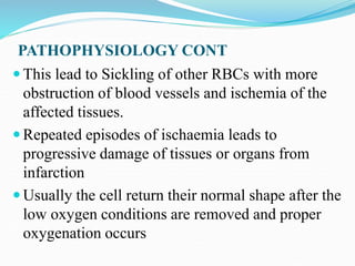 PATHOPHYSIOLOGY CONT
 This lead to Sickling of other RBCs with more
obstruction of blood vessels and ischemia of the
affected tissues.
 Repeated episodes of ischaemia leads to
progressive damage of tissues or organs from
infarction
 Usually the cell return their normal shape after the
low oxygen conditions are removed and proper
oxygenation occurs
 