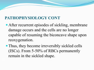 PATHOPHYSIOLOGY CONT
 After recurrent episodes of sickling, membrane
damage occurs and the cells are no longer
capable of resuming the biconcave shape upon
reoxygenation.
 Thus, they become irreversibly sickled cells
(ISCs). From 5-50% of RBCs permanently
remain in the sickled shape.
 