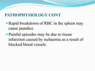 PATHOPHYSIOLOGY CONT
 Rapid breakdown of RBC in the spleen may
cause jaundice
 Painful episodes may be due to tissue
infarction caused by ischaemia as a result of
blocked blood vessels.
 