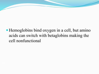  Hemoglobins bind oxygen in a cell, but amino
acids can switch with betaglobins making the
cell nonfunctional
 