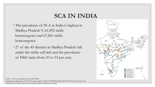 SCA IN INDIA
◦ The prevalence of SCA in India is highest in
Madhya Pradesh 9, 61,492 sickle
heterozygotes and 67,861 sickle
homozygotes.
◦ 27 of the 45 districts in Madhya Pradesh fall
under the sickle cell belt and the prevalence
of HbS varies from 10 to 33 per cent.
https://www.researchgate.net/profile/Malay-
Mukherjee/publication/279727521/figure/fig1/AS:601747580018695@1520479211928/Fig-District-wise-
distribution-of-sickle-cell-trait-among-the-tribal-communities-in.png
 
