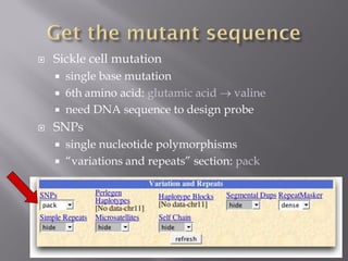 Sickle cell anemia disease | PDF