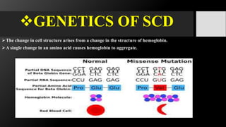 Sickle cell anemia | PPTX