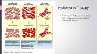 Hydroxyurea Therapy
 For frequent and severe pain, long-
term hydroxyurea is currently the
accepted treatment.
13
 